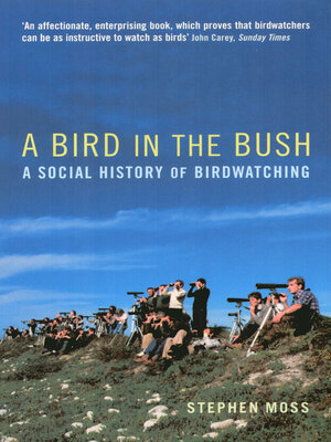 cover image of A Bird in the Bush